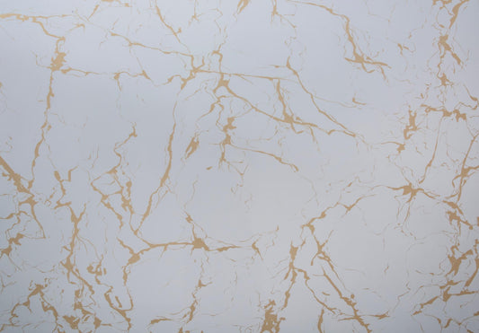 Panou Decorativ PVC M19